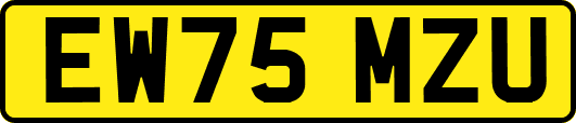 EW75MZU