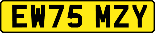 EW75MZY