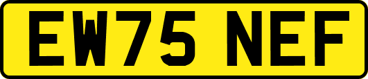 EW75NEF