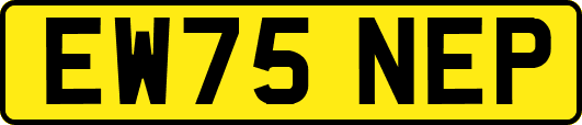 EW75NEP