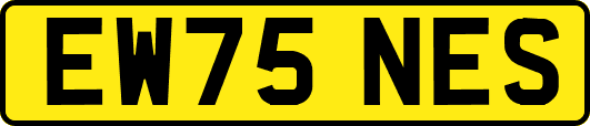 EW75NES
