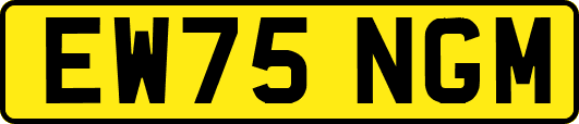 EW75NGM