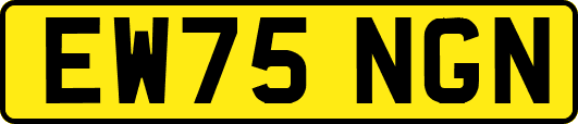 EW75NGN