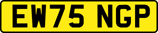 EW75NGP