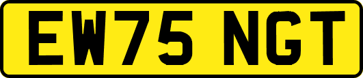 EW75NGT