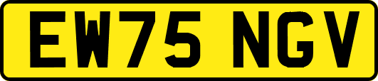 EW75NGV