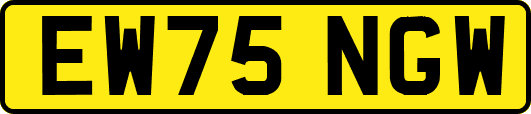 EW75NGW