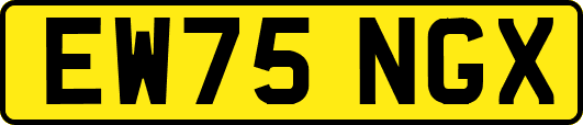 EW75NGX
