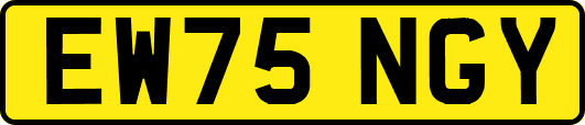 EW75NGY