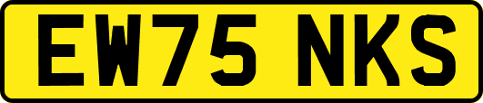 EW75NKS