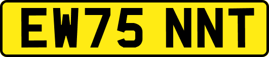 EW75NNT