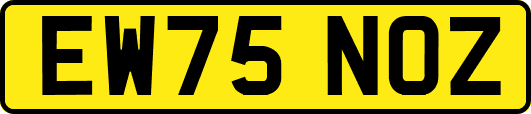 EW75NOZ