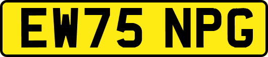 EW75NPG