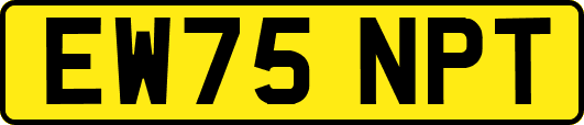 EW75NPT
