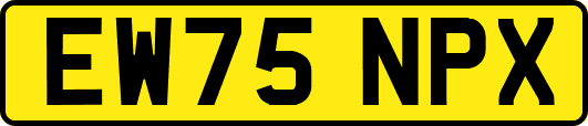 EW75NPX