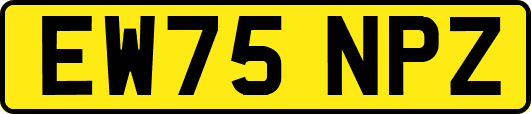 EW75NPZ