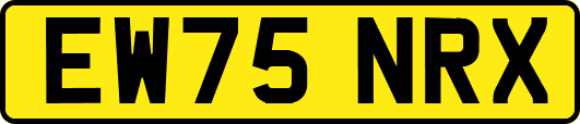 EW75NRX