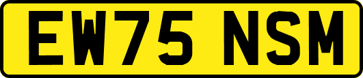 EW75NSM