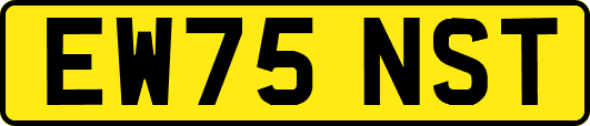 EW75NST
