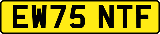 EW75NTF