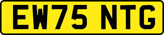 EW75NTG
