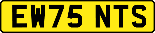 EW75NTS