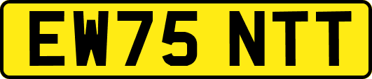 EW75NTT