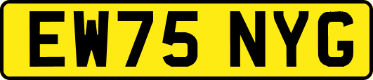 EW75NYG