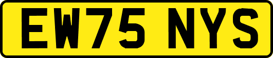 EW75NYS