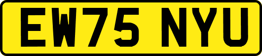 EW75NYU