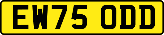 EW75ODD