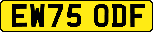 EW75ODF