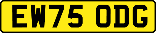 EW75ODG