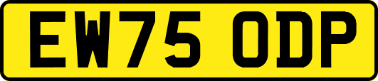 EW75ODP