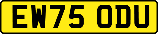 EW75ODU