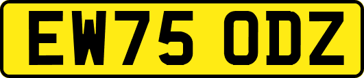 EW75ODZ