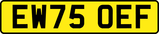 EW75OEF
