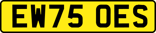 EW75OES