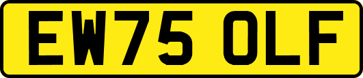 EW75OLF