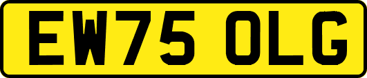 EW75OLG