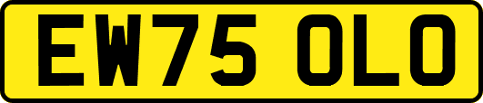 EW75OLO