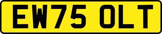 EW75OLT