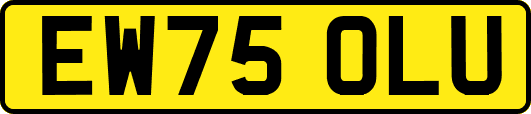 EW75OLU