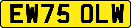 EW75OLW