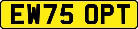 EW75OPT
