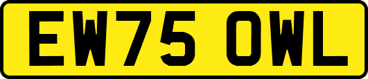 EW75OWL