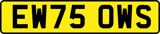 EW75OWS