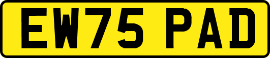 EW75PAD
