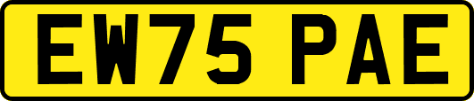 EW75PAE