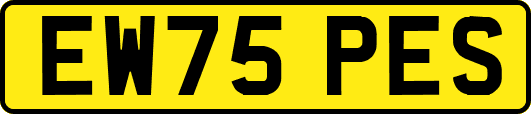 EW75PES